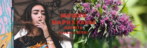 прущие грибы Верхнеуральск